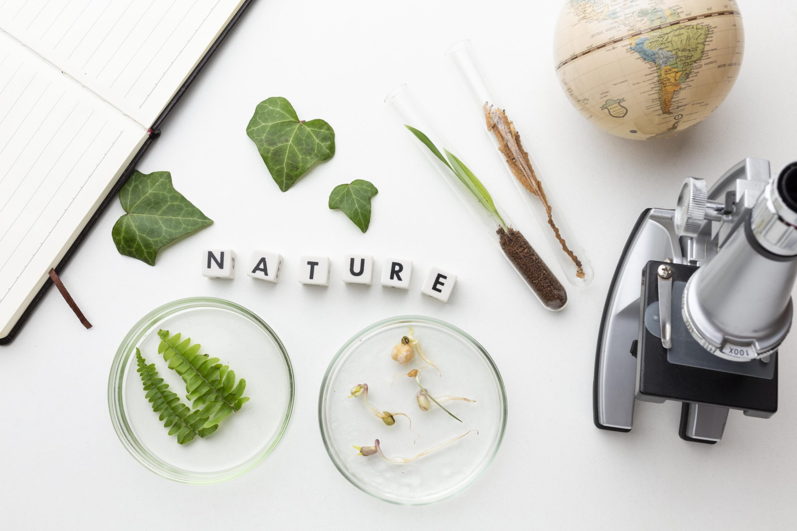 view-plants-glassware